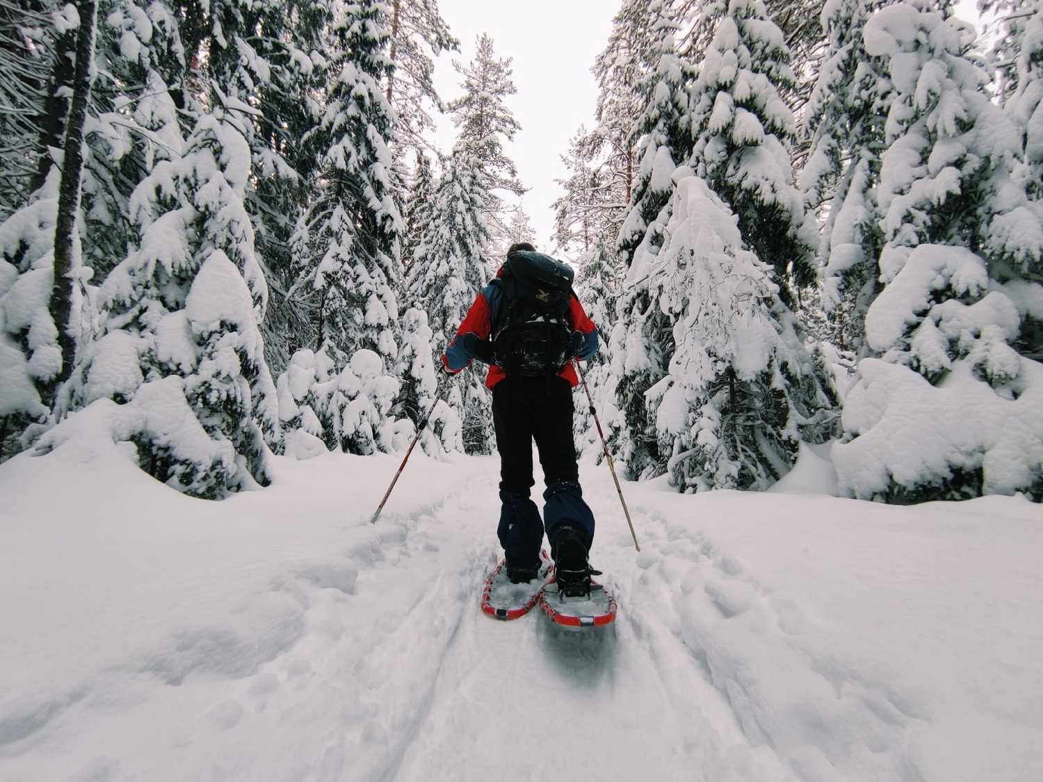 Прогулка на снегоступах по карельской тайге