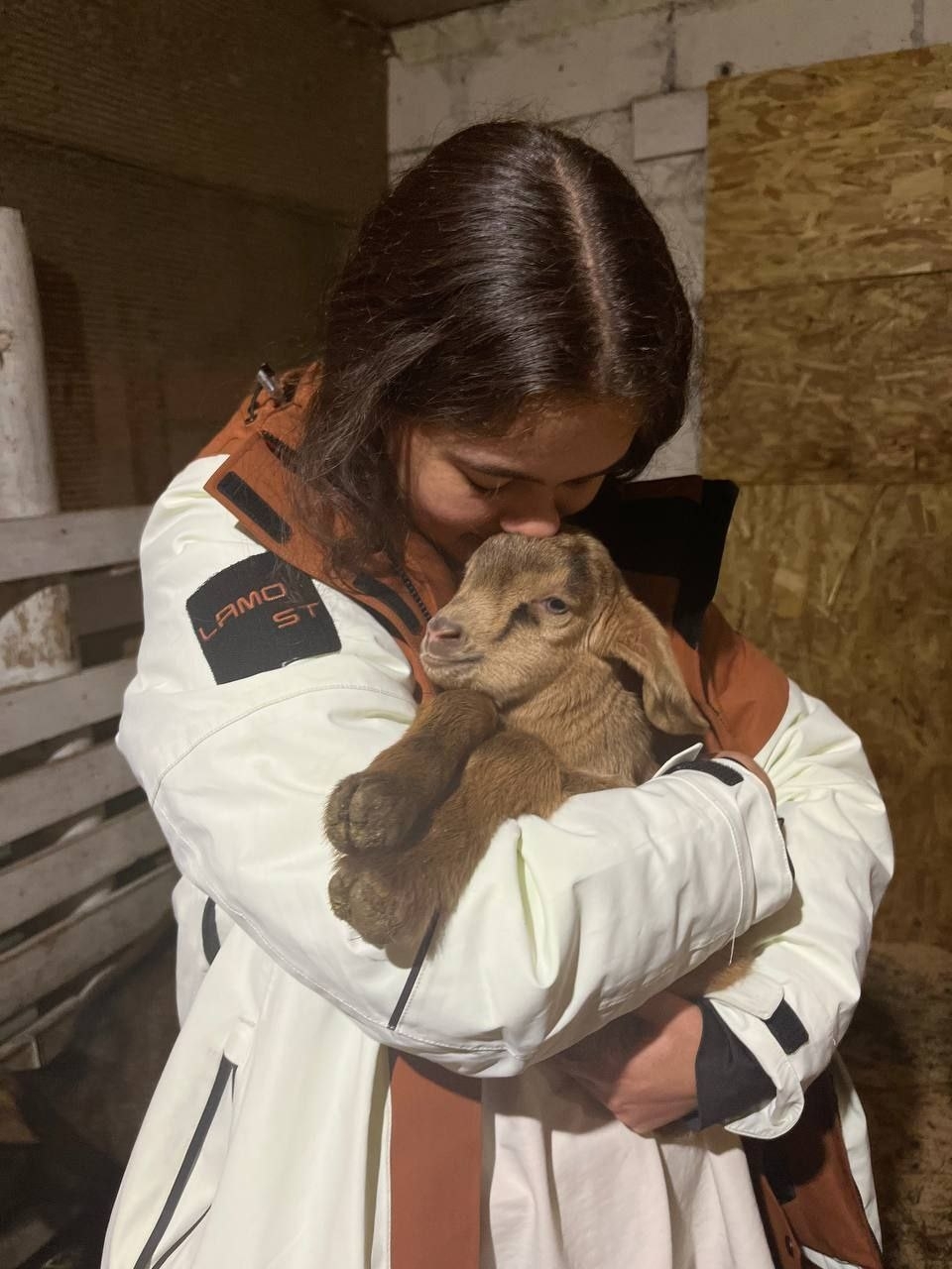 «Козы супергерои» Общение с козочками