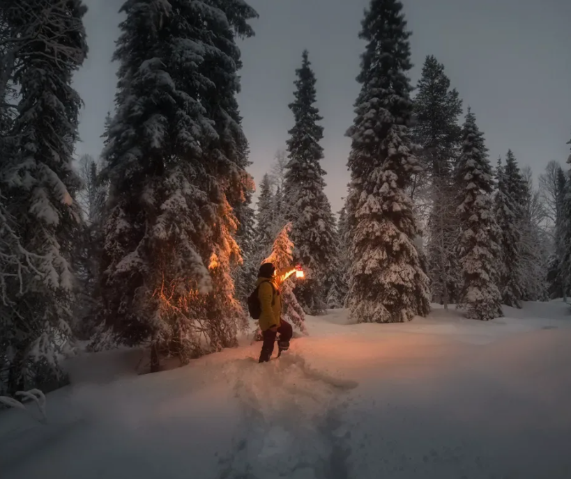 Ночная прогулка в мир дикой природы